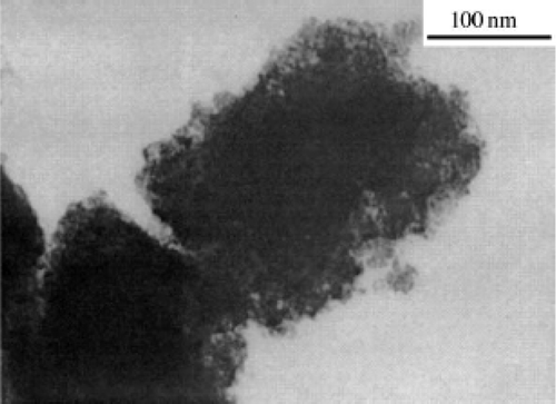 Figure 25. TEM image of the CuO nanoparticles prepared in the absence of PEG Citation46.