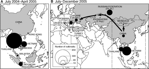 Figure 5 Waves II and III (part) of the panzootic transmission of avian influenza A (H5N1), July 2004–December 2005. Proportional circles are based on information included in World Organisation for Animal Health's Disease Information and plot, by country, the count of reported outbreaks of H5N1 in wild birds and poultry. (A) Wave II (July 2004–April 2005); (B) Wave III (part) (July–December 2005). Vectors for Wave III (B) plot the postulated routes of transmission of H5N1 from a primary focus of infection in east Asia, with the date of report of the first documented outbreak in a given country indicated (see Appendix). Infected countries are shaded.