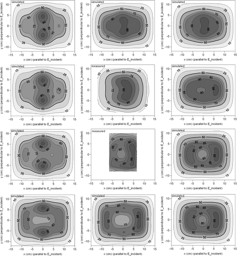 Figure 8. Simulated and measured iso-SAR contours for the 3H applicator with a bolus thickness of 1.7 cm.