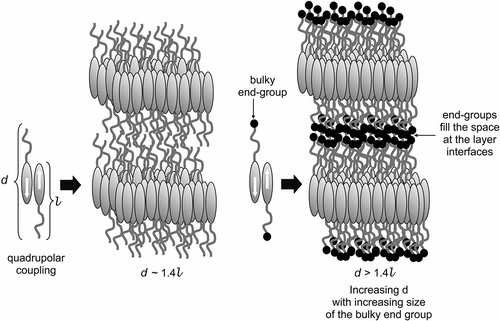 Figure 5. The structure of the bilayer SmA phase stabilised by quadrupolar interactions (left), and the structure of the SmA phase with the molecules possessing terminal substituents that are squeezed into the layer interface to give so-called ‘microphase segregation’ (right).