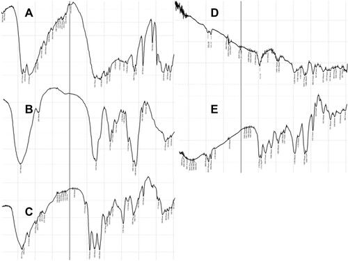 Figure 2 FTIR spectra of (A) MET, (B) HA, (C) HA conjugated MET, (D) Lipoid and (E) optimized HA-MPS.
