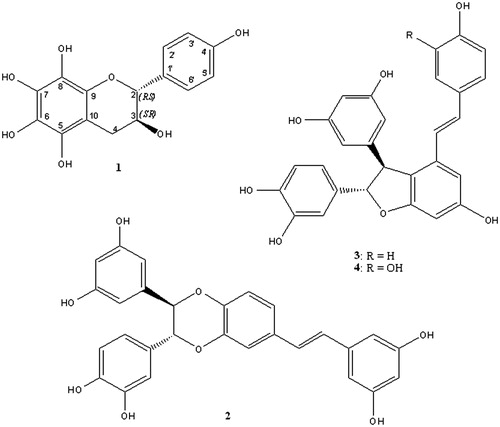 Figure 1. Structure of compounds 1–4 isolated from C. rotundus.