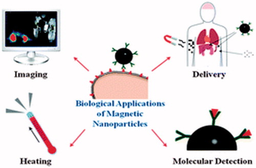 Figure 2. Multiple applications of nanoparticles in the diagnosis and treatment of different types of cancer (Colombo et al. Citation2012)