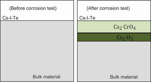 Figure 7. Illustrations of cross section of specimen, (a) before and (b) after the corrosion test.