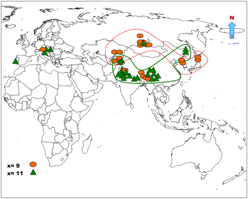 Figure 5. Geographical distribution of two basic chromosome numbers, x = 9 (Display full size) and x = 11 (Display full size) in Europe and Asia.