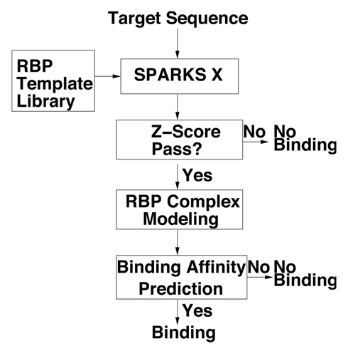 Figure 4 The flow diagram of the sequence-based prediction of RNA binding proteins (RBPs).