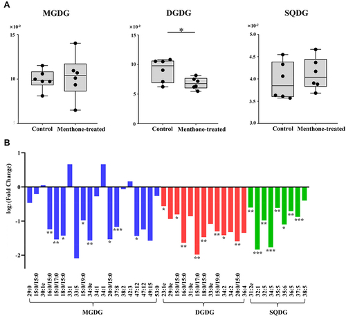 Figure 6 Effect of menthone on glycolipids in MRSA cells. (A) The percentage composition of MGDG, DGDG and SQDG in menthone-treated group and control group (n=6). (B) Fold changes of individual glycolipid species in menthone-treated group compared with controls (*p<0.05; **p<0.01; ***p<0.001).
