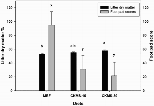 Figure 1. Litter dry matter and foot pad lesions of broilers fed with MBF, maize-based feed with 15% crimped kernel maize silage (CKMS-15), and maize-based feed with 30% crimped kernel maize silage (CKMS-30) on day 35. LSMeans with different lower case letters (a & b for litter dry matter and x & y for foot pad scores) differ significantly (P < 0.05).