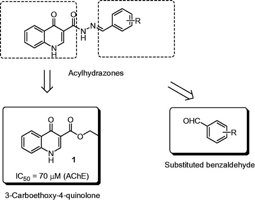 Figure 1. Structure of acylhydrazones derived from 3-carboethoxy-4-quinolone and aromatic aldehydes.