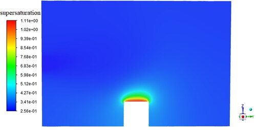 Figure 8. The supersaturation distribution in the sample chamber.