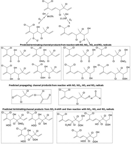 Scheme 1. Predicted major peroxy radicals, and terminating and propagating channel products from the reaction of atmospheric OH radical with the Δ3 and Δ7 olefins in 3. Both cohorts of channel products are proposed from reaction of RO2, with NO, NO2, HO2 and RO2 radicals.