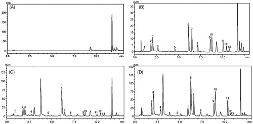 Figure 1. Representative UPLC/DAD chromatograms. (A) Blank solvent, (B) 12 amino acid derivatives of standard solution, (C) amino acid derivatives in a representative plasma sample, (D) amino acid derivatives in a representative liver homogenate sample. (1) Glutamic acid; (2) serine; (3) glycine; (4) arginine; (5) is; (6) tyrosine; (7) valine; (8) methionine; (9) isoleucine; (10) leucine; (11) phenylalanine; (12) tryptophan; (13) lysine.