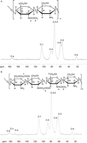 Figure 2.  NMR spectrum of (A) chitosan, and (B) NOCC.