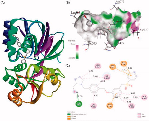 Figure 5. The binding mode of PF-543 with the SphK1. (A) The overall structure of SphK1–PF-543 complex showing protein in cartoon model and ligand in stick. (B) Interaction of PF-543 to the SphK1 residues (stick). (C) 2D diagram of SphK1 interaction with the compound PF-543. The active site residues of SphK1 interacting with ligand PF-543 by one conventional H-bonds.