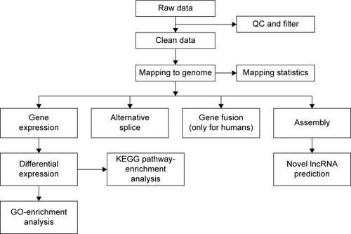 Figure 1 Main flow diagram of transcriptome sequencing.Abbreviations: QC, quality control; KEGG, Kyoto Encyclopedia of Genes and Genomes; lncRNA, long noncoding RNA; GO, gene ontology.