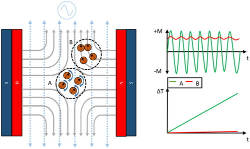 Figure 1. Opposing magnets create a strong magnetic field gradient containing a FFR that provides the basis for spatially-confined heating with the HYPER prototype. The volume of the FFR depends on gradient strength, where a stronger gradient creates a smaller FFR. When and AMF is applied, the nanoparticles within the FFR (region A) are free to generate thermal energy due to hysteresis losses; however, outside the FFR (region B), the magnetic moments of the nanoparticles are fixed and contribute little to heating.