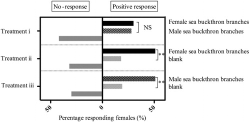 Figure 2. Preference of mated H. hippophaecolus females for sea buckthorn branch odors in the Y-tube olfactometer (N = 30 for each treatment). NS = no significant difference. **Significant difference, p < 0.01. Treatment (i): female branches vs. male branches; (ii) female branches vs. blank; and (iii) male branches vs. blank.