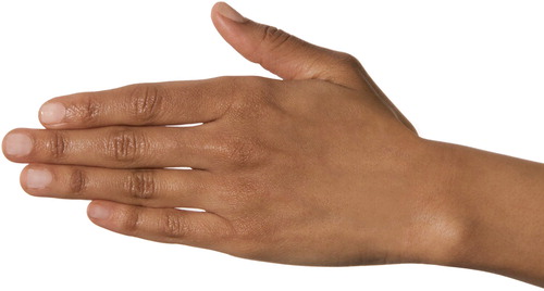Figure 5. Hand.