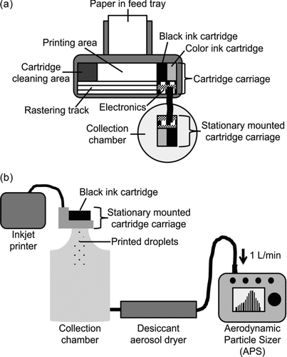 FIG. 1 Schematic drawings of the experimental setup showing (a) the modified inkjet printer and stationary mounted cartridge carriage (top view) and (b) the droplet collection, dehydration, and microparticle characterization devices (side view).