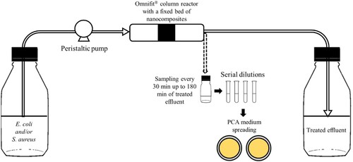 Figure 1. Schematic illustration of the continuous system assays.