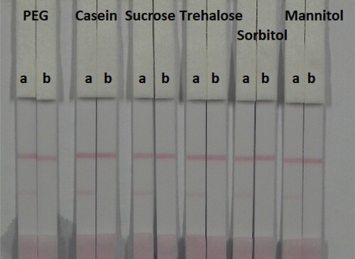 Figure 6. Colloidal gold immunochromatographic for OTA by using six kinds of surfactant. a = negative (0 ng/mL). b = positive (50 ng/mL).