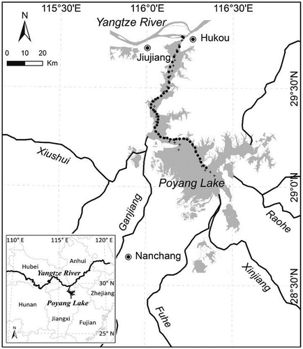 Figure 1. Location of Poyang Lake and sampling sites in 2010 (black dots) and 2011 (black crosses).