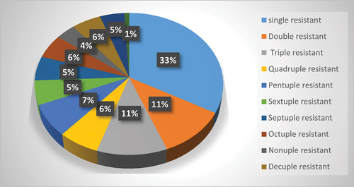 Figure 6. Resistance percentage to multiple antimicrobials among Enterobacteriaceae members isolated from ready-to-eat foods.