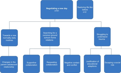 Figure 1 Analytical categories.