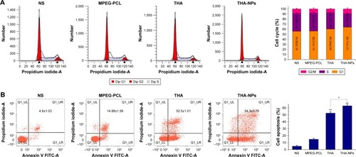 Figure 4 Flow cytometric analysis of tumor tissue extracted from mice that received NS, MPEG-PCL, free THA, and THA-NPs.Notes: (A) Quantitative analysis of the percentage of cells in G1, S, and G2/M phases in xenografts from mice in various group; (B) quantitative analysis of the percentage of apoptosis cells in various groups. *P<0.05 and **P<0.01.Abbreviations: MPEG-PCL, methoxy poly(ethylene glycol)-poly(ε-caprolactone); NS, normal saline; THA, thalidomide; THA-NPs, nanoparticles loaded with thalidomide.