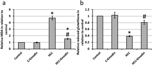 Figure 3. Effect of oral administration of emodin (40 mg/kg, P.O) on oxidative status of the hepatic cells. (a) The relative hepatic tissues of MDA. (b) The relative hepatic tissues of reduced glutathione. * Significant difference as compared with the control groups at p < 0.05. # Significant difference as compared with the HCC group at p < 0.05. C, control; HCC, hepatocellular carcinoma; MDA; malondialdehyde.