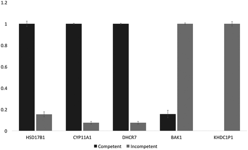 Figure 4. Normalized qPCR results for verification of DE analysis. Following 2−ΔΔCt normalization and calculation relative to GAPDH expression (stable among our samples), the more highly expressed of the pairs in each case were set to 1.0 (arbitrary units). The chart shows that among the incompetent blastocysts, HSD17B1, CYP11A1, and DHCR7 were significantly down-regulated, while BAK1 and KHDC1P1 were significantly up-regulated. Standard deviation error bars are also displayed in the graph. These results concord with the edgeR differential expression analysis obtained from the RNA-seq data.