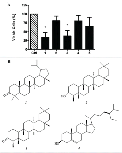 Figure 6. A - Cytotoxicity of hexane extract of Erythroxylum daphnites (EDH) fractions after 24 h of treatment of SCC-9 tongue carcinoma cells. 1 - Fraction hexane:ethyl acetate (1:1) (EDH-FHE); 2 - Fraction ethyl acetate:methanol (EDH-FEM) (1:1); 3 - Fraction ethyl acetate (EDH-FE); 4 - Fraction methanol (EDH-FM); 5 - Fraction hexane (EDH-FH). *P < 0.01 vs. control. B - Chemical structure of compounds found in fraction EDH-FHE. The results show the percentage of cell viability in the presence of different extracts treatment.