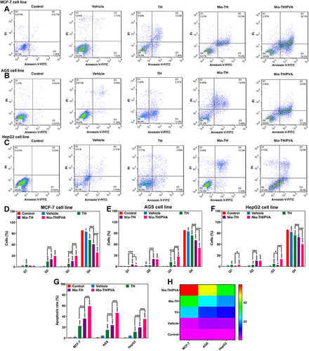 Figure 6 Flowcytometric analysis of all samples in (A) MCF-7, (B) AGS, and (C) HepG2 cell lines. Cell suspension was adjusted to 5×105 cells/mL and were seeded onto 6-well and treated with IC50 concentration of various formulations. Analysis of the apoptosis rate in (D) MCF-7, (E) AGS, and (F) HepG2 cancer cell lines after incubation with different samples. Q1 (necrotic cells), Q2 (late apoptosis), Q3 (early apoptosis), and Q4 (alive cells). (G) Apoptosis rate in MCF-7, AGS, and HepG2 cell lines treated with all samples. (H) Heat-map of apoptosis analysis of all samples in MCF-7, AGS, and HepG2 cell lines. Data are represented as mean ± SD and n=3; ***p<0.001, **p<0.01, *p<0.05.