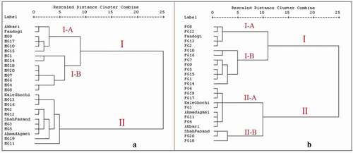 Figure 5. Dendrogram of male genotypes based on 13 morphological traits (a), and dendrogram female genotypes based on 41 morphological and pomological fruit traits