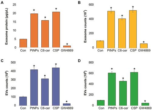 Figure 8 Effect of PtNPs on exosome protein concentration and exosomes counts. A549 cells were treated with PtNPs (10 µM) or C6-cer (10 µM) or CSP (10 µM) or GW4869 (20 µM) in Opti-MEM for 24h. (A) Total protein concentration of isolated exosomes were determined by bicinchoninic acid (BCA). (B) Exosomes counts were determined by fluorescence polarization. (C) Exosomes counts were determined by NTA. (D) Exosomes counts were determined by EXOCET. The results are expressed as mean ± standard deviation of three independent experiments. The treated groups showed statistically significant differences from the control group by the Student’s t-test; *p < 0.05 was considered significant.