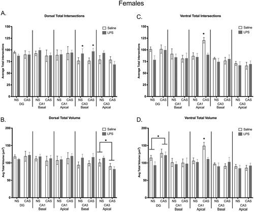 Figure 10. Microglia morphology was shifted in the dorsal and ventral regions of the hippocampus within females. Repeated exposure to LPS increased total number of intersections within the dorsal basal CA3 region (a). A history of chronic adolescent stress increased total intersections within the ventral apical CA1 region, but this effect of stress was not observed when females were also exposed to repeated LPS (C). A history of stress decreased average total volume in the dorsal apical CA3 region (B). Within the ventral hippocampus, stress history increased overall total volume in the DG and stress increased volume in the ventral apical CA1, which was again absent in stressed females with repeated LPS exposure (D). Bars represent mean ± SEM.
