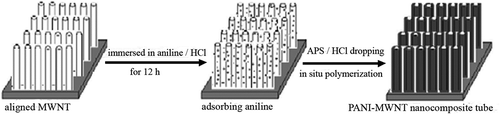 Figure 8. Scheme explaining the preparatory procedure of well-aligned PANI nanocomposite tube film.