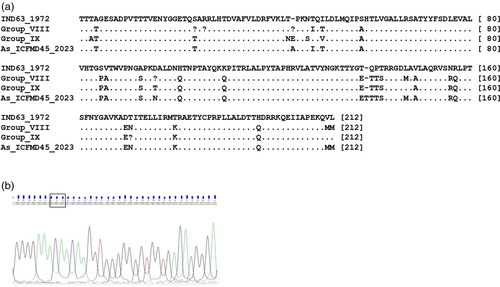 Figure 2. 2a. Alignment of deduced VP1 amino acid sequences of serotype Asia strains belonging to G-VIII, G-IX, and an isolate with an insertion, with that of the vaccine strain IND63/1972. A dot indicates similarity with the vaccine strain, while variations are shown as single-letter amino acid codes. 2b. Chromatogram displaying the ‘ACA’ codon insertion in the isolate As/ICFMD45/2023, resulting in the insertion of the amino acid ‘Threonine’ at the 139th position of VP1.