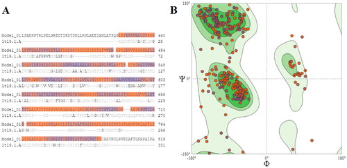Figure 2. Sequence alignment and Ramachandran plot of the generated homology model of CALP of L. donovani (A) Sequence alignment against calpain I protease core (PDB code: 1TL9); (B) Ramachandran plot of amino acid residues of the generated homology model indicated that most of them are in the favoured regions.