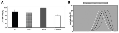 Figure 7 (A) Labeling efficiency of human chondrocytes expressed as the number of Prussian Blue-positive cells. (B) Distribution of Prussian Blue labeling intensity in human chondrocytes.