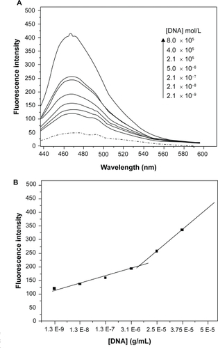 Figure 4 Dependence of fluorescence intensity of C60(OH)24 on dsDNA concentration. A) Fluorescence spectra of fullerenol (– · –) with increasing concentration of DNA (—) with excitation at 420 nm ; B) Plot of fluorescence intensity of fullerenol as a function of [dsDNA] in the concentration range of 1.3 × 10−9 to 4.4 × 10−6 molL−1; [C60(OH)24] = 4.5 × 10−5 molL−1; average standard errors: 2.69% for 2.5E−5−5E−5 region and 10.80% for 1.3E−9−3.1E−6 region.