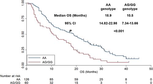 Figure 3 The overall survival of the 186 patients with high-grade glioma according to genotype status GSTP-1 313A>G.
