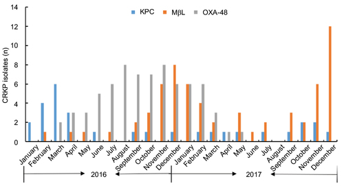 Figure 1 The variation of CRKP isolates from January 2016 to December 2017.
