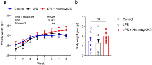 Figure 1. Body weight in response to LPS and Neurosyn240 treatments. a) There was no significant weight difference across groups throughout the 8-week experimentation, b) Total body weight gain did not significantly differ across groups. Data are represented as the mean ± standard error of the mean (s.e.m.). n = 10 mice per group. ns, not significant. LPS: Lipopolysaccharide.