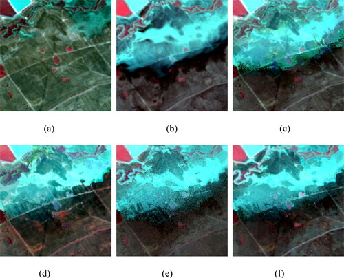 Figure 7. The zoomed-in images: actual image on the (a) base date and (b) predicted date, and the fusion image of (c) STARFM, (d) ESTARFM, (e) FSDAF, and (f) SE-STRFM.