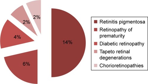 Figure 5 Retinal diseases.