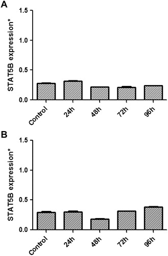 Figure 3. Relative mRNA expressional change of STAT5B in MP-treated K-562 (A) and HL-60 (B) cells and also non-treated cells referring as control were evaluated by quantitative real-time RT-PCR. A decrease in STAT5B expression was seen especially at 48th hour (P > 0.05) in both K-562 and HL-60 cells.