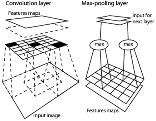 Figure 16. 2D image analysis, synonym of spatial topology-preserving (retinotopic) feature mapping in a (2D) image-domain (Tsotsos, Citation1990). Activation domains of physically adjacent processing units in the 2D array of convolutional spatial filters are spatially adjacent regions in the 2D visual field. Provided with a superior degree of biological plausibility in modeling 2D spatial topological and spatial non-topological information, distributed processing systems capable of 2D image analysis, such as deep convolutional neural networks (DCNNs), typically outperform traditional 1D image analysis approaches. Will computers become as good as humans in 2D image analysis?