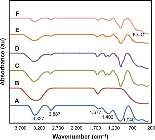 Figure 4 FTIR spectra of pure (A) BNC, (B) Aloe vera extract and (C–F) BNC/Fe3O4 nanocomposites (1.0, 4.0, 8.0, and 16.0 wt%), respectively.Abbreviations: FTIR, Fourier transform infrared; BNC, bacterial nanocellulose.