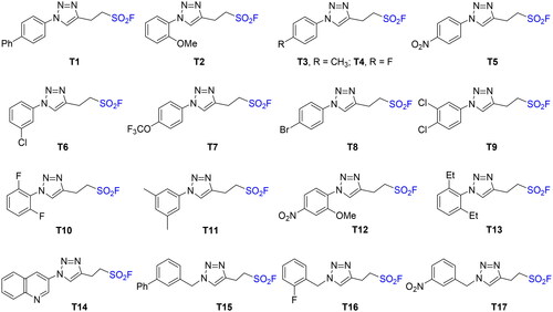 Scheme 1. Chemical structures of compounds T1–T17.